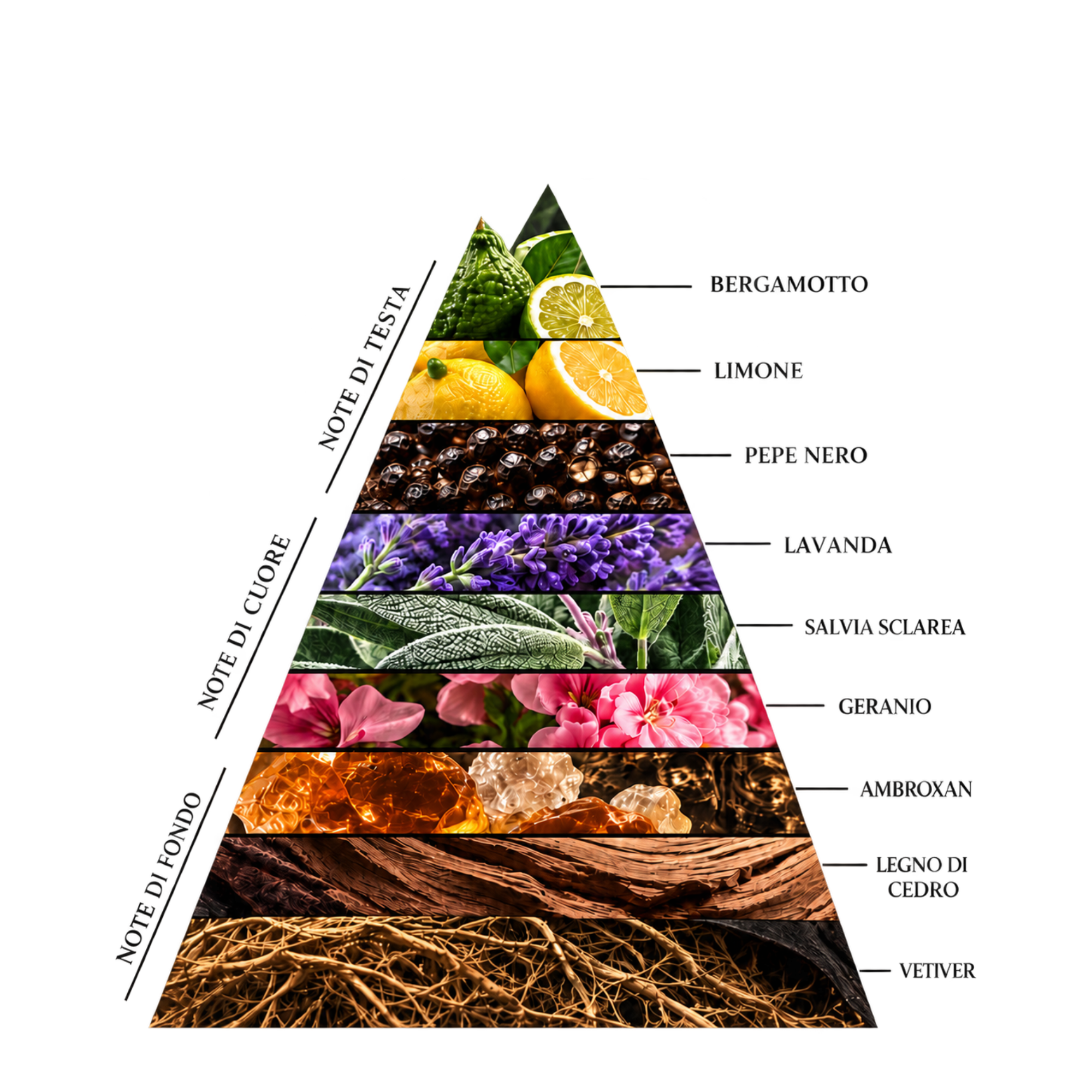 Piramide olfattiva ZYRON